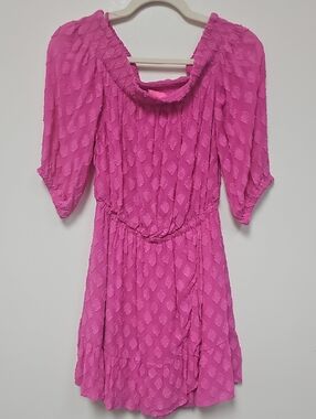 Lilly Pulitzer Hot Pink Textured Mini Dress